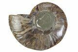 Cut & Polished Ammonite Fossil (Half) - Madagascar #377641-1